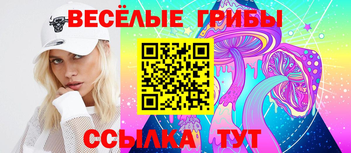 Псилоцибиновые грибы мицелий Екатеринбург